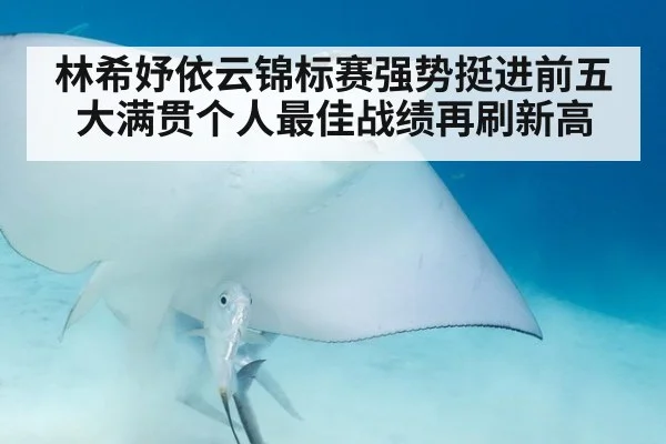 林希妤依云锦标赛强势挺进前五 大满贯个人最佳战绩再刷新高